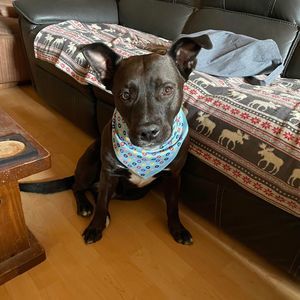 Meet your Posher, Patricia